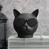 Rogue Kitty