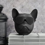 Rogue Pup